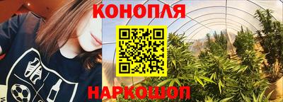 СК Ставрополь