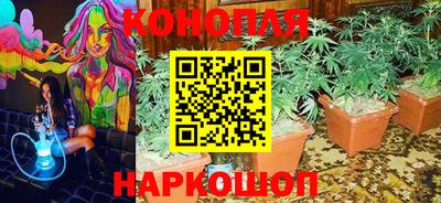 СК Ставрополь