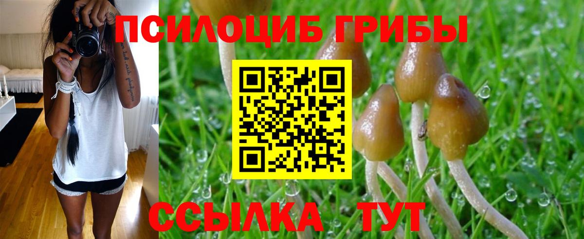Галлюциногенные грибы GOLDEN TEACHER Амурск